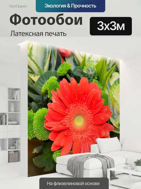 300 × 300 см · Латексная печать
