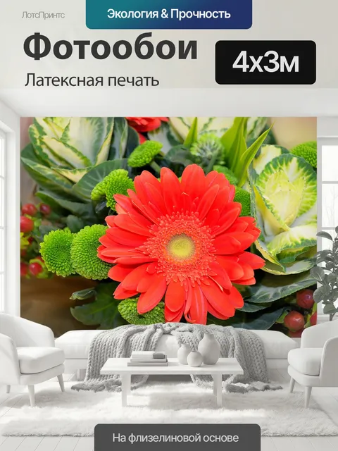 400 × 300 см · Латексная печать