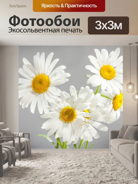 Фотообои Ромашки, цветы, цветение