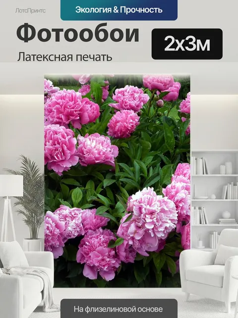 200 × 300 см · Латексная печать