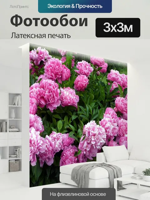 300 × 300 см · Латексная печать