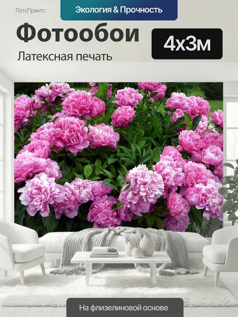 400 × 300 см · Латексная печать