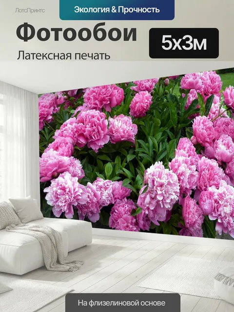 500 × 300 см · Латексная печать
