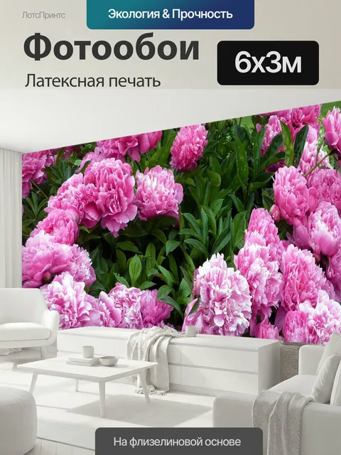 600 × 300 см · Латексная печать