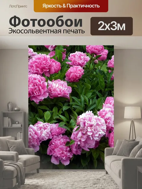 200 × 300 см · Экосольвентная печать