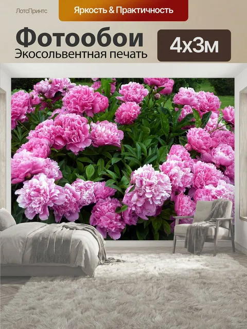 400 × 300 см · Экосольвентная печать