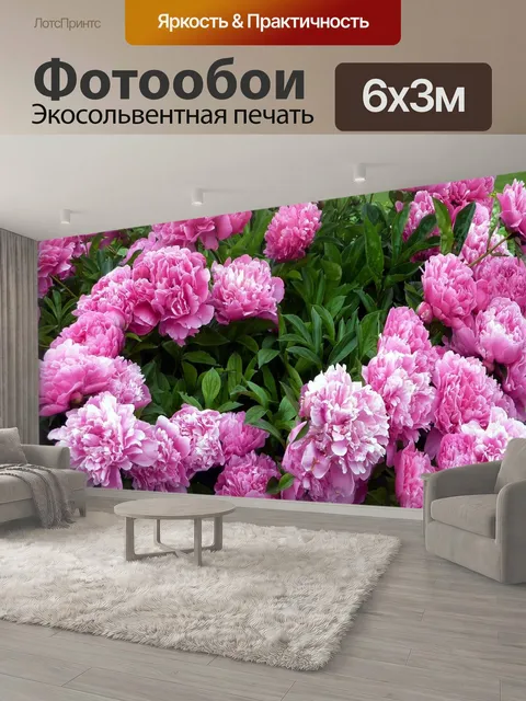 600 × 300 см · Экосольвентная печать