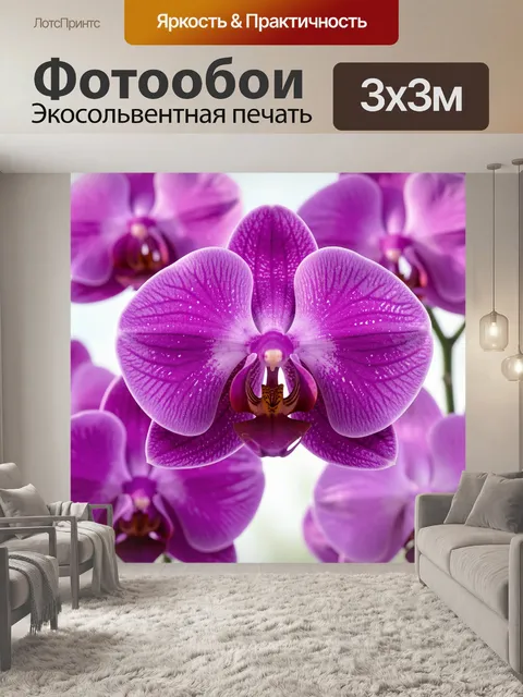 Фотообои Пурпурные орхидеи крупным планом