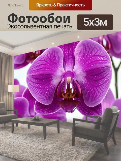Фотообои Пурпурные орхидеи крупным планом