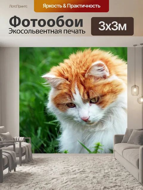 Фотообои Кот, похмелье, красное похмелье