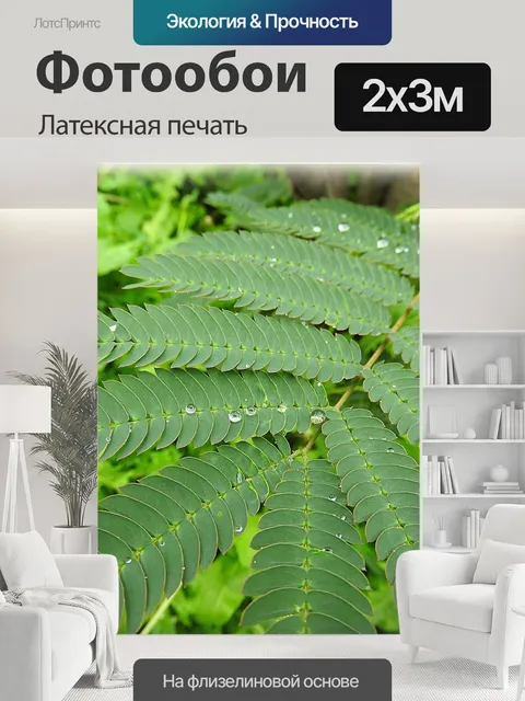 200 × 300 см · Латексная печать
