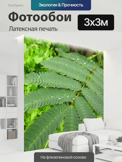 300 × 300 см · Латексная печать