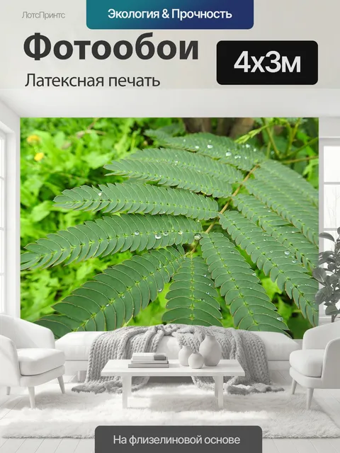 400 × 300 см · Латексная печать