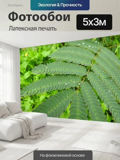 500 × 300 см · Латексная печать