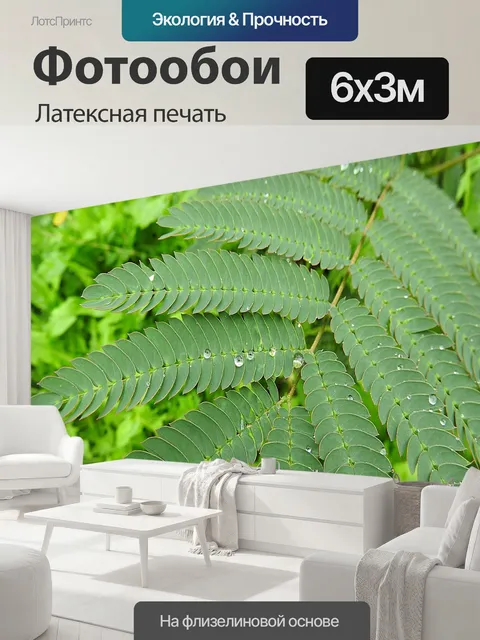 600 × 300 см · Латексная печать