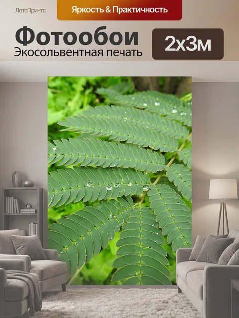 200 × 300 см · Экосольвентная печать