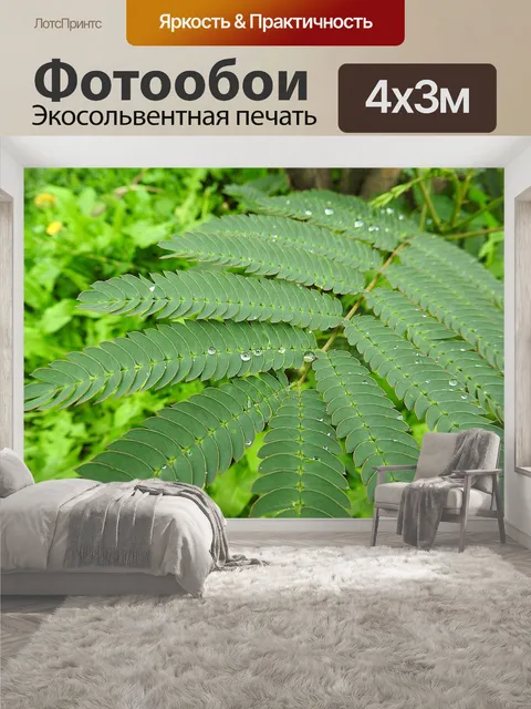 400 × 300 см · Экосольвентная печать