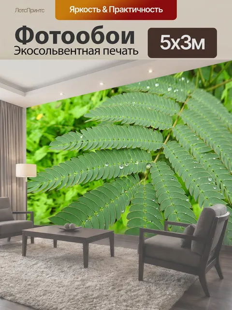 500 × 300 см · Экосольвентная печать