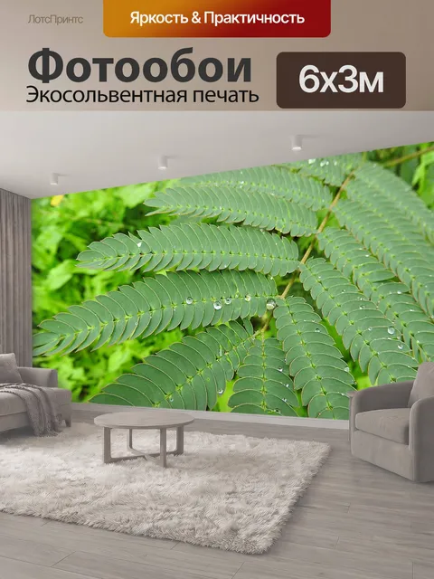 600 × 300 см · Экосольвентная печать