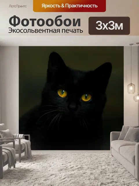 Фотообои Кошка, черный кот, животное