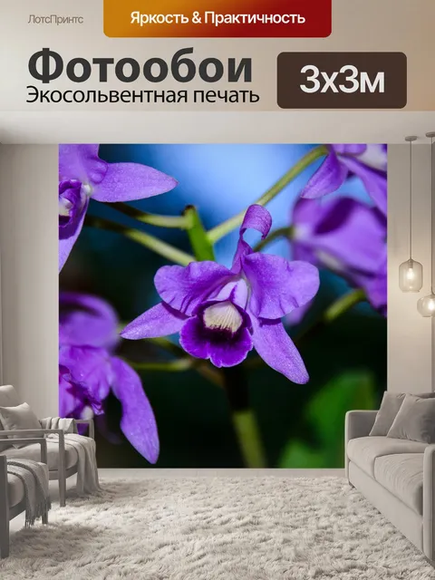 Фотообои Изобразительное искусство, красивые цветы, блум
