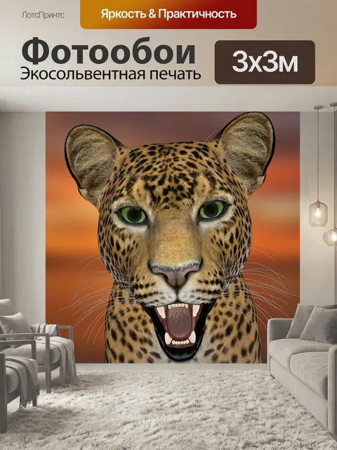 Фотообои Леопард, леопардовой головы, дикая природа