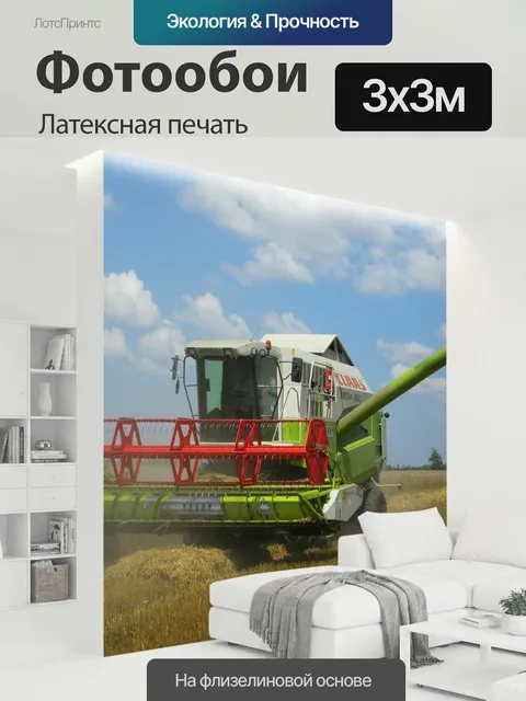 300 × 300 см · Латексная печать
