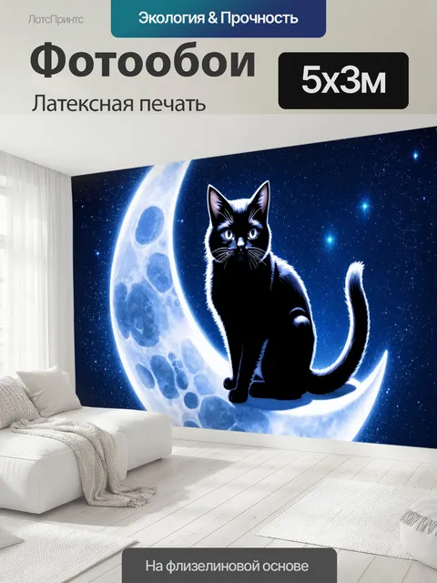 500 × 300 см · Латексная печать
