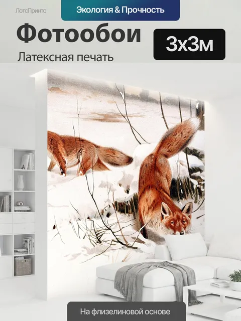 300 × 300 см · Латексная печать