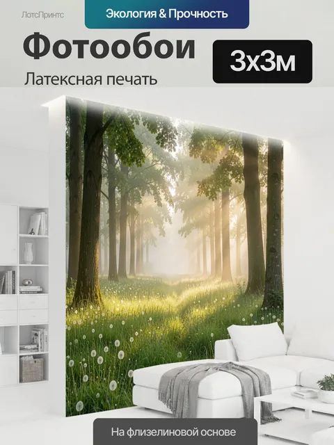 300 × 300 см · Латексная печать