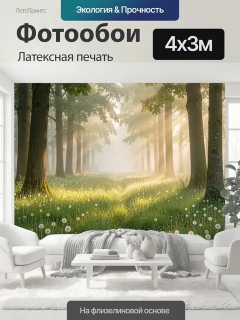 400 × 300 см · Латексная печать