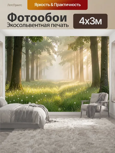 400 × 300 см · Экосольвентная печать