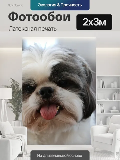 200 × 300 см · Латексная печать