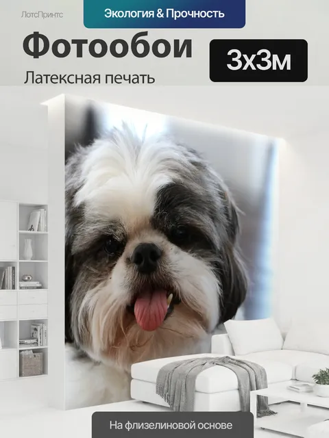 300 × 300 см · Латексная печать