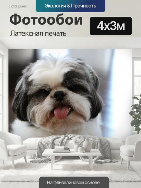 400 × 300 см · Латексная печать