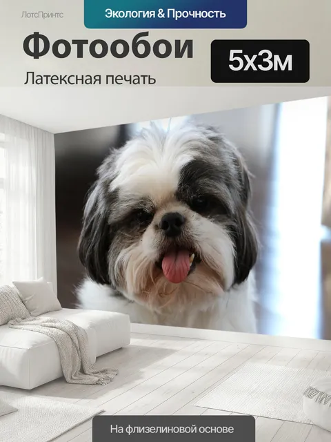 500 × 300 см · Латексная печать