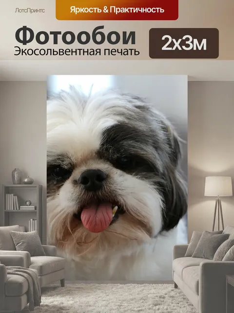 200 × 300 см · Экосольвентная печать