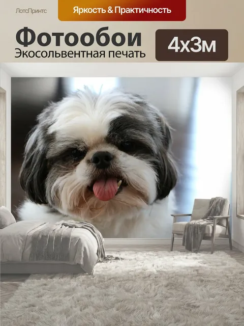 400 × 300 см · Экосольвентная печать