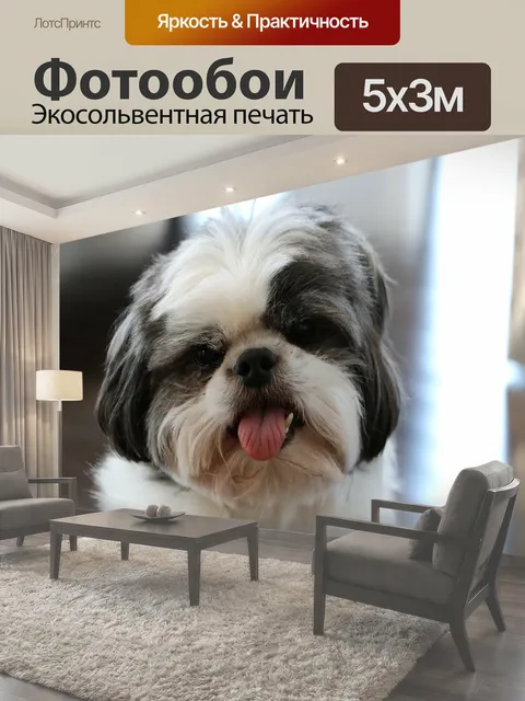 500 × 300 см · Экосольвентная печать