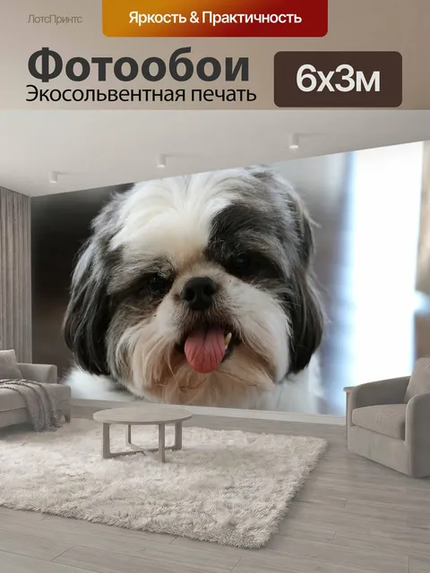 600 × 300 см · Экосольвентная печать