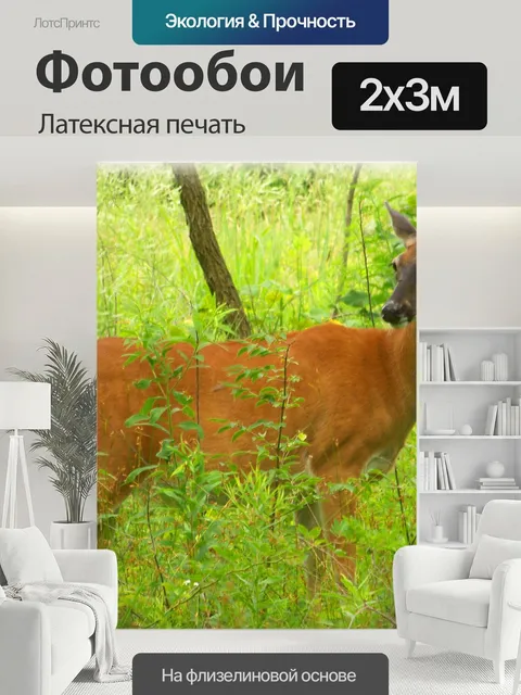 200 × 300 см · Латексная печать
