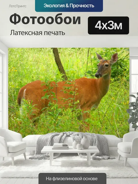 400 × 300 см · Латексная печать