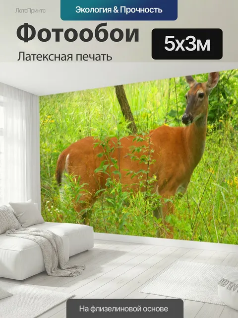 500 × 300 см · Латексная печать