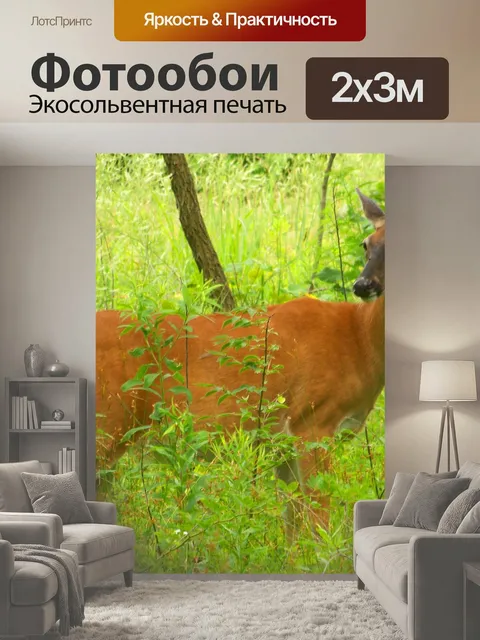 200 × 300 см · Экосольвентная печать