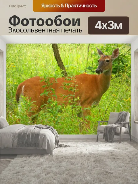 400 × 300 см · Экосольвентная печать
