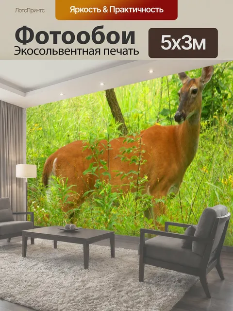 500 × 300 см · Экосольвентная печать