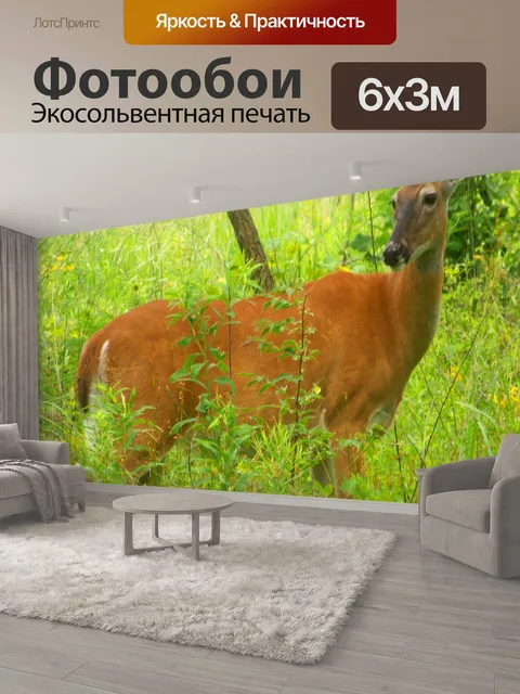 600 × 300 см · Экосольвентная печать