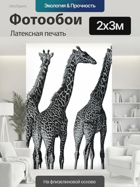 200 × 300 см · Латексная печать