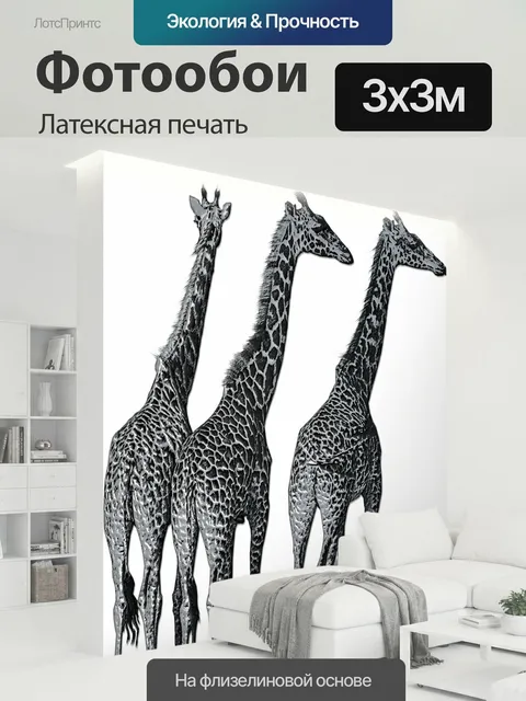 300 × 300 см · Латексная печать