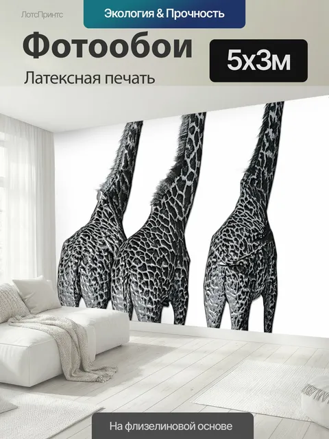 500 × 300 см · Латексная печать